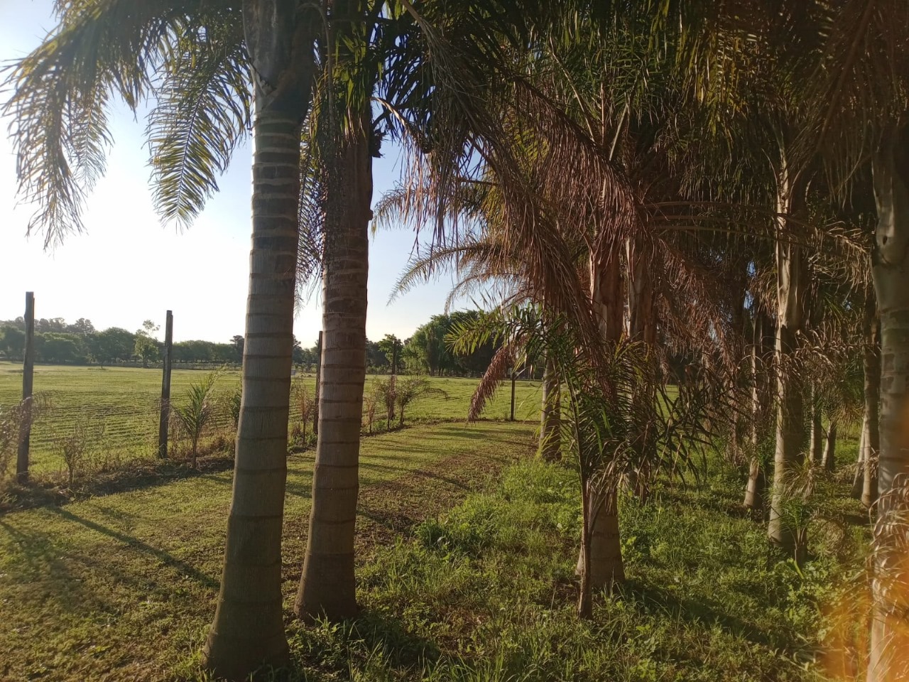 Vendo fracción urbana de 3ha, con casa y galpon, Escobar
